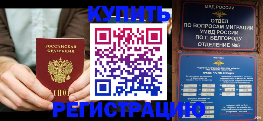 прописка 2025 в Элисте